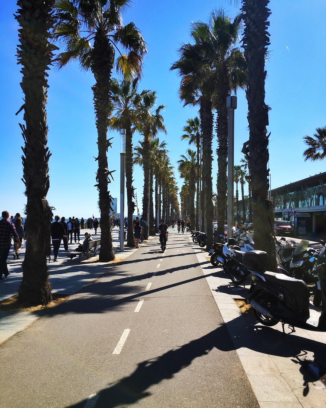 Barcelona gallery image