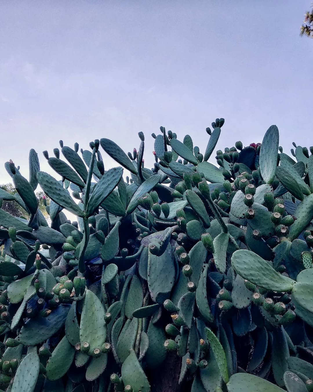 Barcelona gallery image