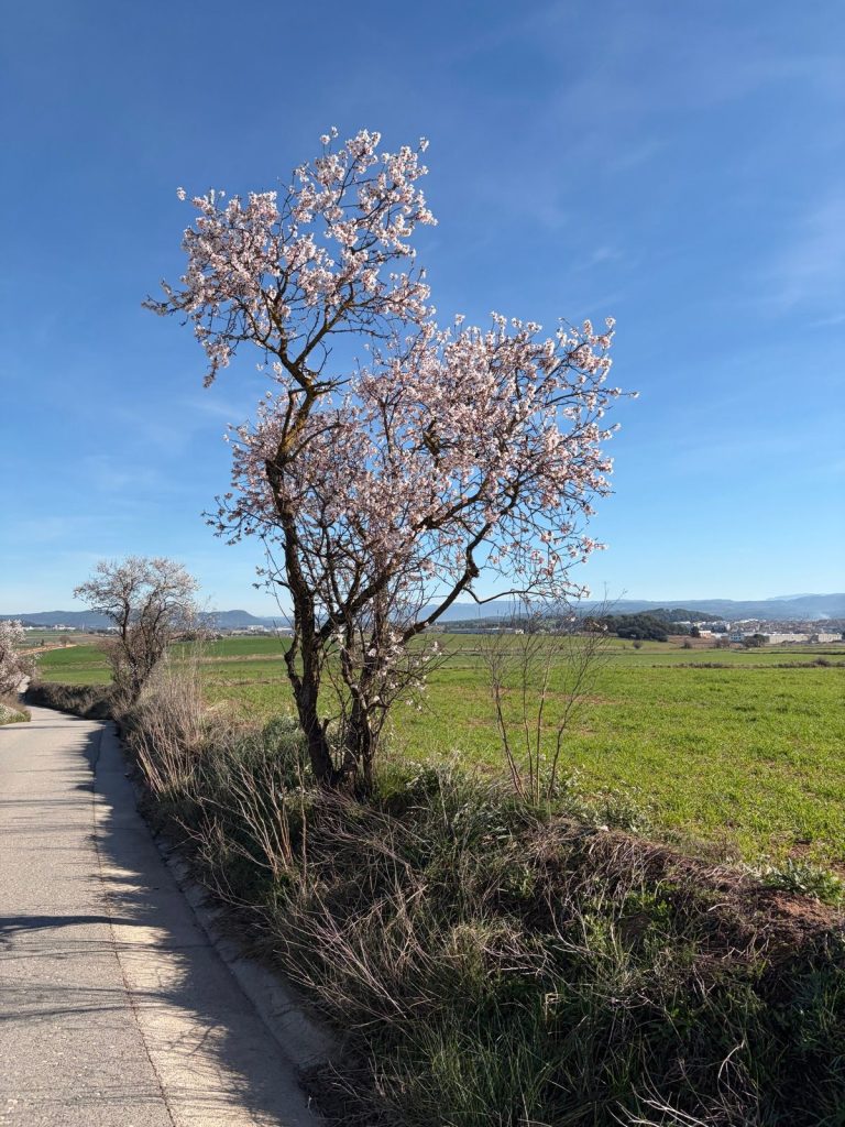 32km Long Run